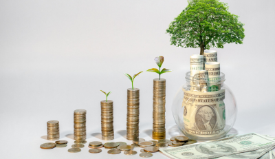 Growing money stacks, symbolizing Federal Benefits Analysis.