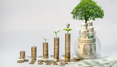 Growing money stacks, symbolizing Federal Benefits Analysis.