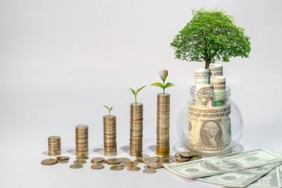 Growing money stacks, symbolizing Federal Benefits Analysis.