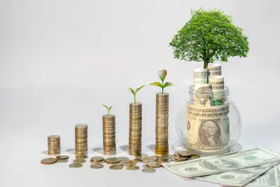Growing money stacks, symbolizing Federal Benefits Analysis.